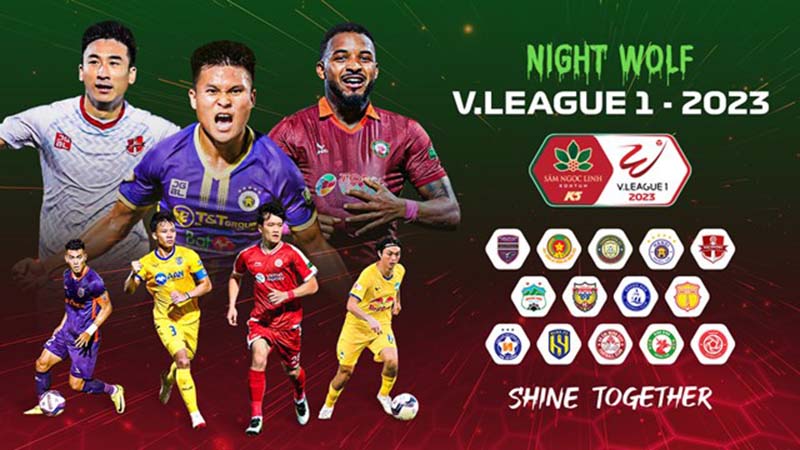 Giải bóng đá quốc gia Việt Nam có 14 đội tham gia